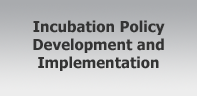 Incubation Policy Development and Implementation